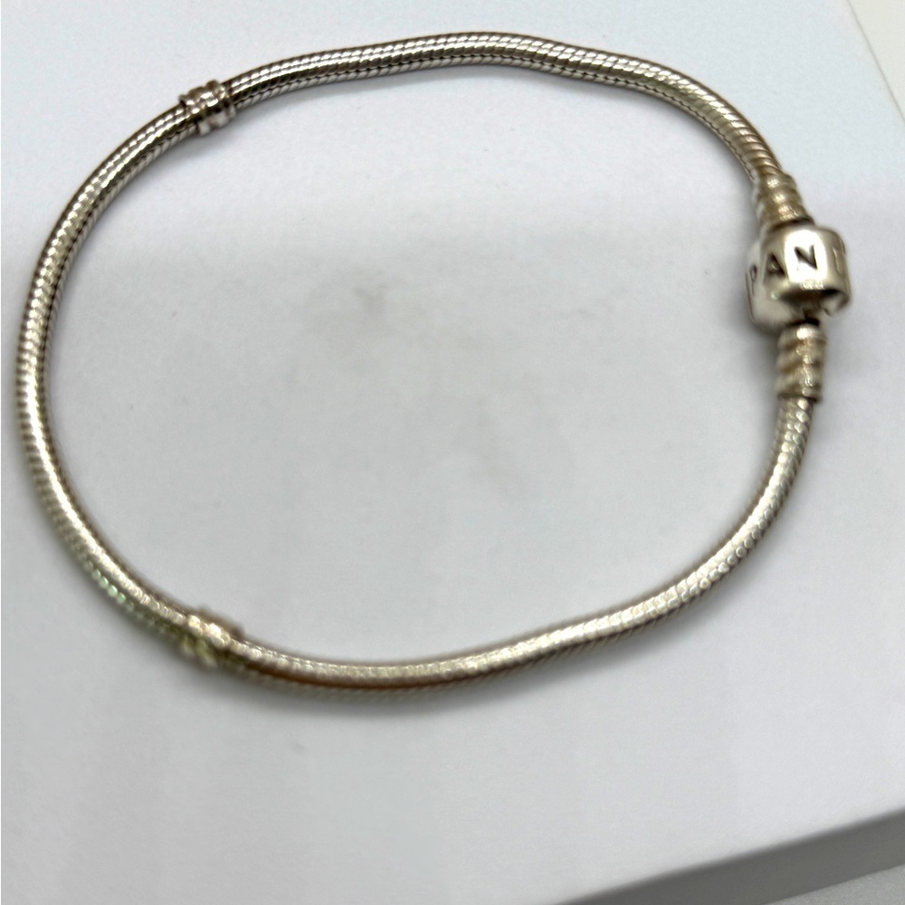Pandora ALE 925 Bracelet + Angel & Infinity Charms – Holiday Gift Set